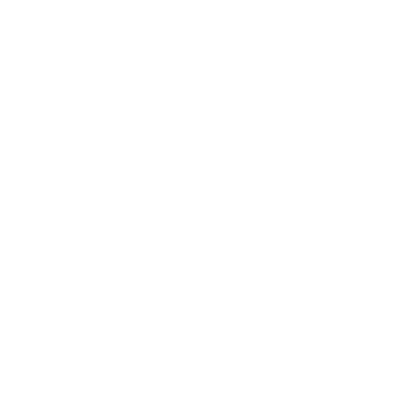 Medallion Award Winner