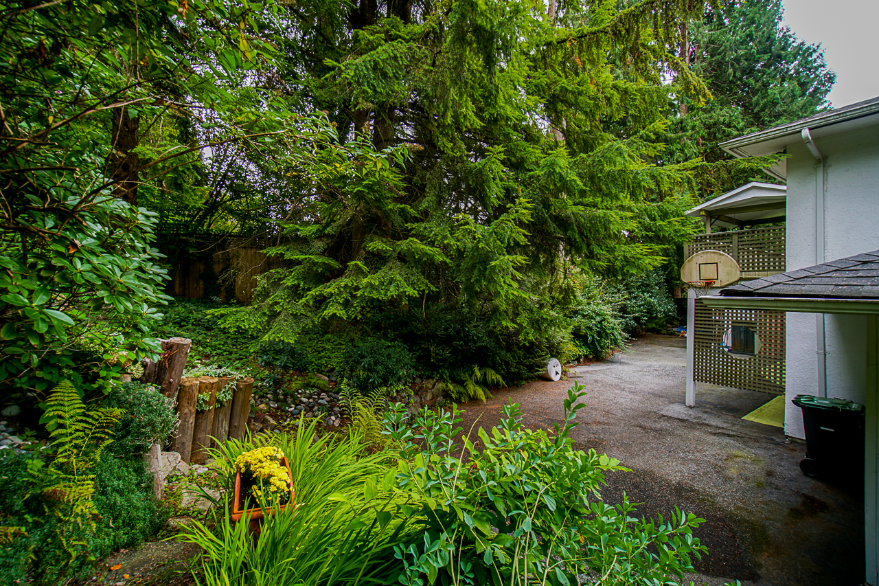 4228 Capilano Road 38