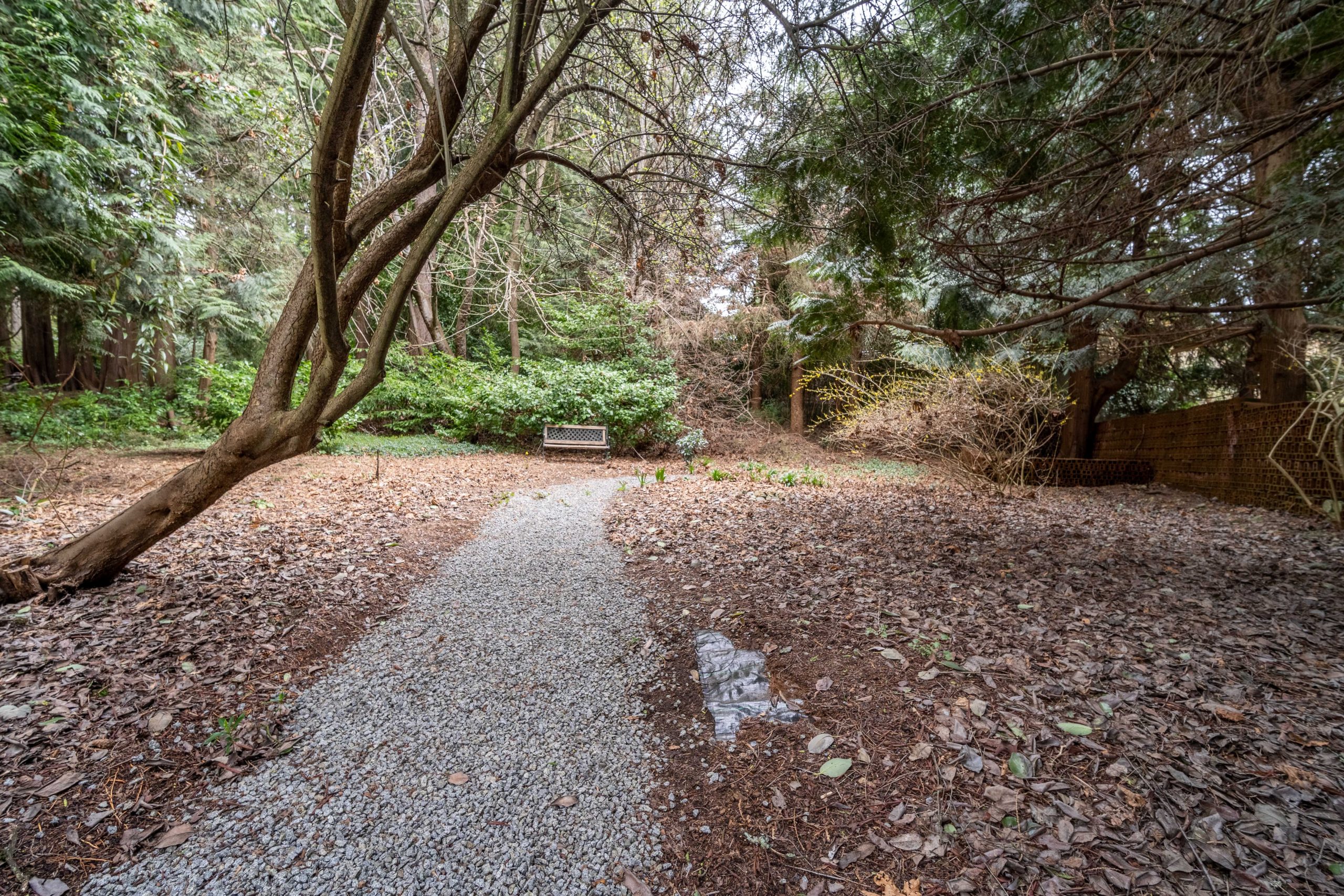 2685 Rosebery Ave 28